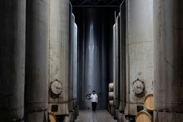 Les cuves du domaine Chateau Chizay, dans l'ouest de l'Ukraine, le 27 août 2026 