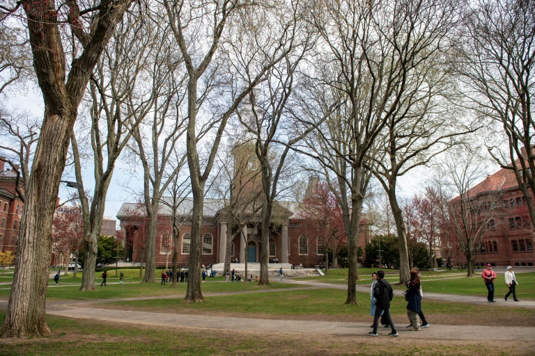 Le Harvard Yard du campus de l'Université Harvard à Cambridge, le 15 avril 2025 dans le Massachussetts