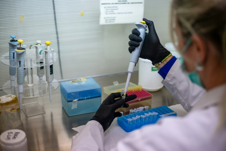 Une technicienne de laboratoire exécute un processus d'extraction d'ADN au Laboratoire de génétique de l'Université de Cordoba, en Argentine, le 13 mai 2026