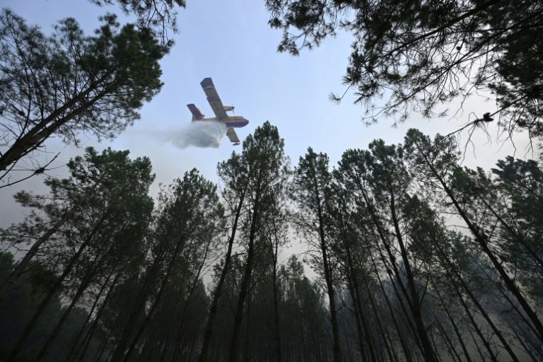 Un Canadair largue de l'eau sur la forêt en flammes à Luglon, dans les Landes, le 14 août 2026