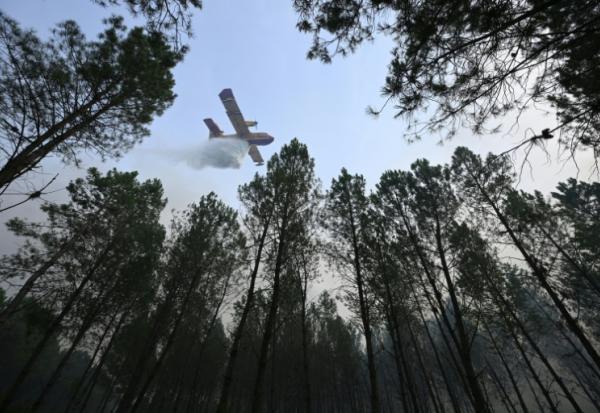 Un Canadair largue de l'eau sur la forêt en flammes à Luglon, dans les Landes, le 14 août 2026