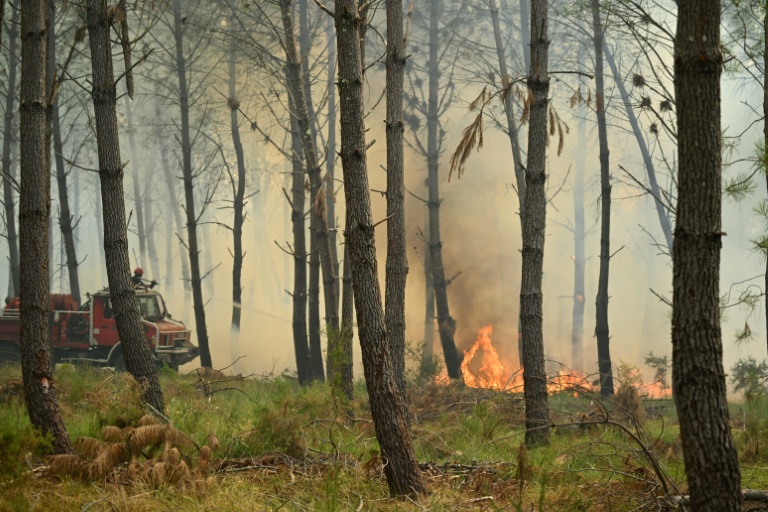 Des pompiers luttent contre un feu de forêt près de Luglon, dans les Landes, le 14 août 2026 