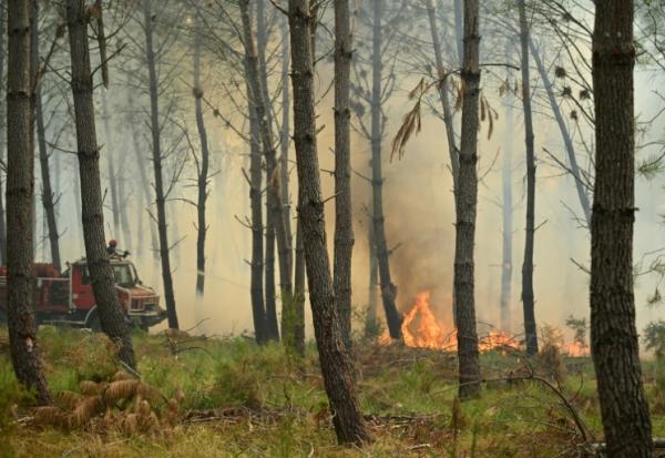 Des pompiers luttent contre un feu de forêt près de Luglon, dans les Landes, le 14 août 2026 