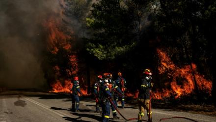 Des pompiers grecs tentent d’éteindre un incendie de forêt dans la région de Porto Germeno, à quelque 70 kilomètres au nord-ouest d’Athènes, dans la région de la Viotia, le 2 août 2026