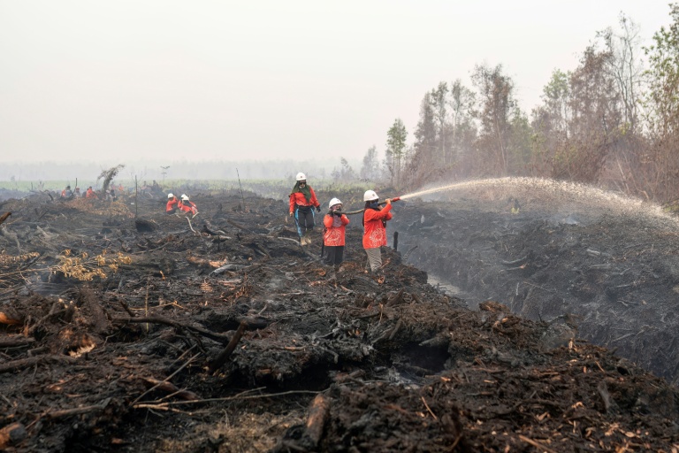 Des pompiers volontaires arrossent des tourbières fumantes à Mensubuk Lama, dans le Kalimantan occidental, le 26 septembre 2026 en Indonésie