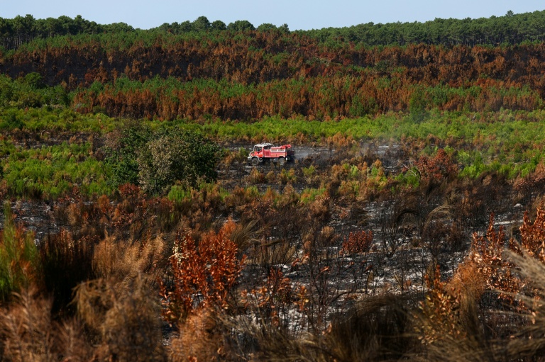 Un véhicule de pompiers au milieu d'une végétation en partie détruite par un incendie à Lège-Cap-Ferret, en Gironde, le 1er août 2026 