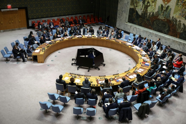 Réunion du Conseil de sécurité des Nations Unies sur la situation en Iran, le 15 janvier 2026