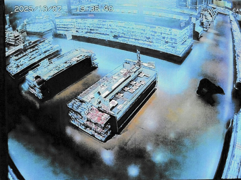 Image d'une caméra de vidéosurveillance publiée par la police préfectorale de Gunma, le 7 octobre 2025, montrant un ours dans un supermarché de Numata, au Japon