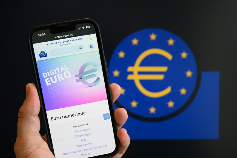 L'euro numérique, présenté comme une alternative européenne aux américains Visa et Mastercard pour les paiements électroniques, devrait franchir mardi une étape cruciale au Parlement européen