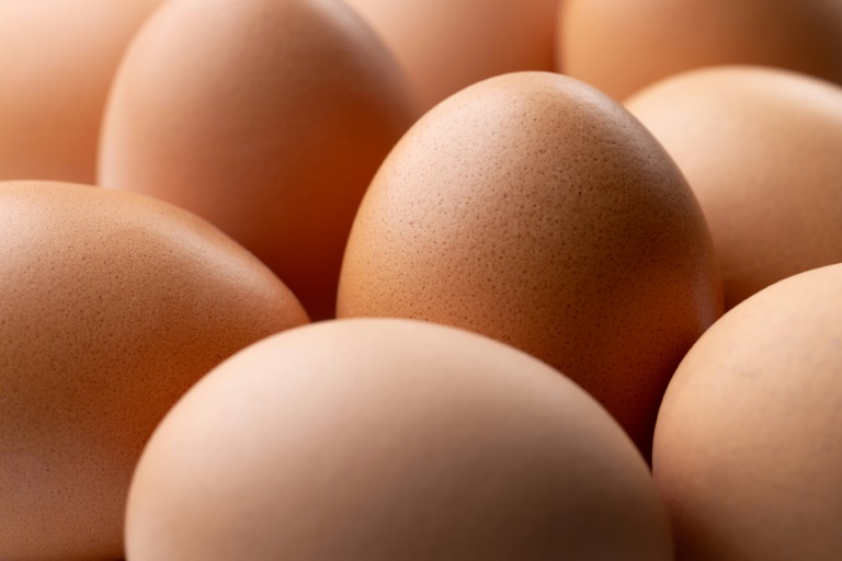 L'interprofession des oeufs a dénoncé l'importation par certains distributeurs de centaines de milliers d'oeufs d'Ukraine ne
