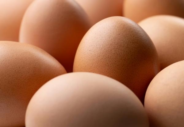 L'interprofession des oeufs a dénoncé l'importation par certains distributeurs de centaines de milliers d'oeufs d'Ukraine ne "respectant pas les normes de production européennes et pouvant contenir" des antibiotiques interdits