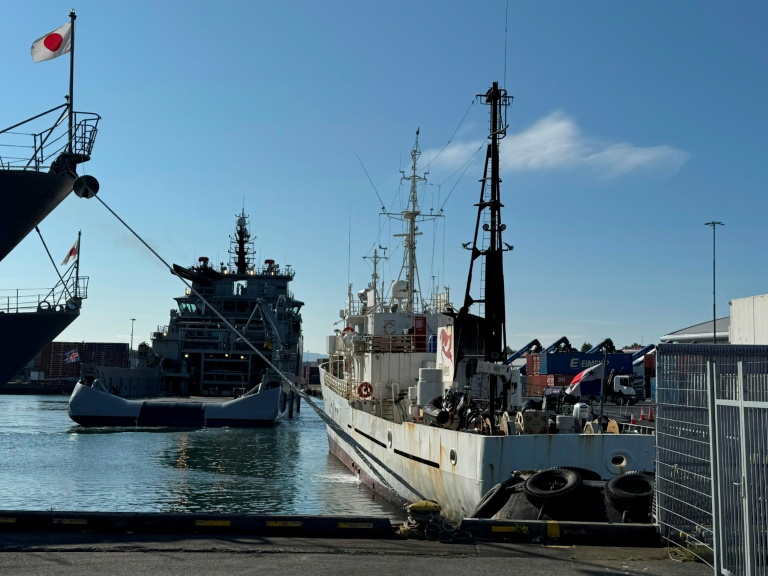 Photo prise le 31 juillet 2026 et fournie par la Fondation Paul Watson le 1er août 2026 montrant à droite le Bandero, navire de la Fondation, flanqué à gauche par un bateau des garde-côtes islandais, dans le port de Reykjavik