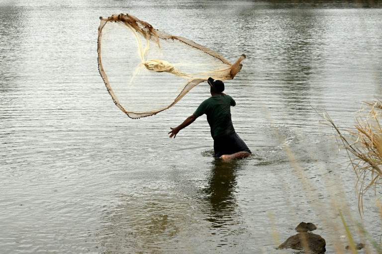 Un pêcheur jette son filet à Nadi aux Fidji, le 4 octobre 2026, à la veille de la cérémonie d'ouverture du Sommet du Pacifique pré-COP31