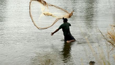 Un pêcheur jette son filet à Nadi aux Fidji, le 4 octobre 2026, à la veille de la cérémonie d'ouverture du Sommet du Pacifique pré-COP31