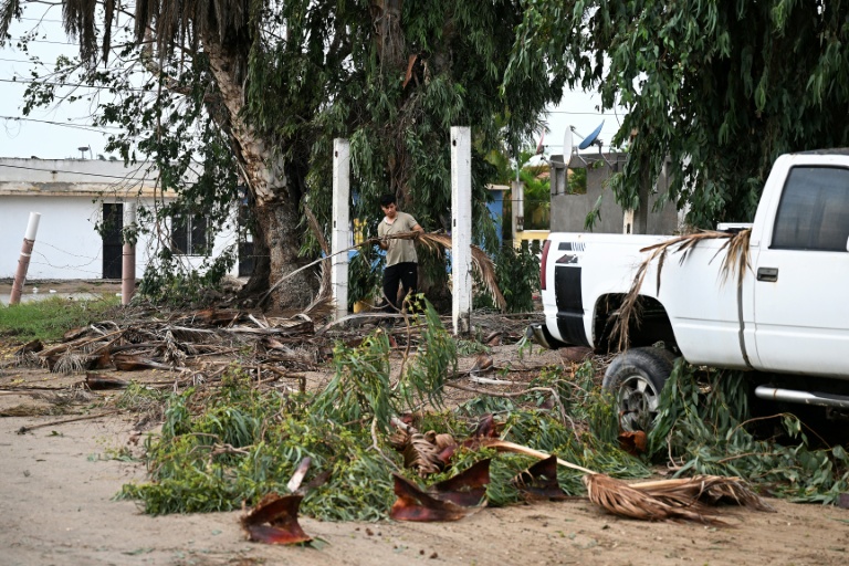 Un habitant déblaie les débris d'arbres tombés après le passage de l'ouragan Polo à Puerto Sans Carlos, en Basse-Californie du Sud, le 29 septembre 2026 au Mexique