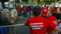 Des éleveurs et des membres de la Fédération nationale bovine manifestent près de l'ambassade du Brésil à Paris, le 9 juillet 2025