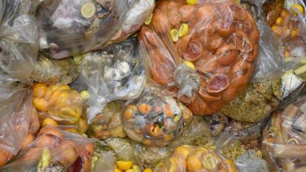 Des déchets alimentaires dans une usine de transformation en compost et biogaz, le 19 novembre 2021 à Stains, au nord de Paris