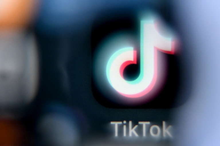 Un rapport parlementaire sur TikTok dévoilé jeudi préconise l'interdiction des réseaux sociaux aux moins de 15 ans et la mise en place d'un 