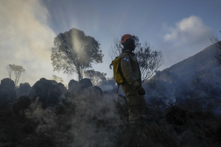 Un pompier à Itatiaia, au Brésil le 15 juin 2024