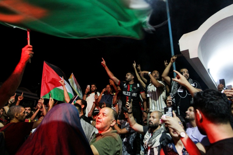 Des manifestants tunisiens agitent des drapeaux palestiniens au port de Sidi Bou Saïd, près de Tunis, le 9 septembre 2025