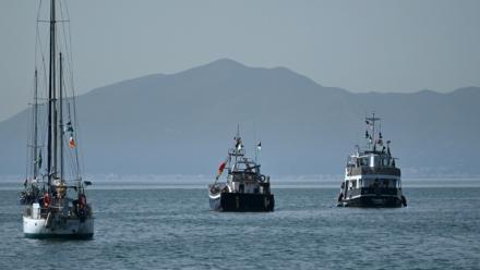 Le navire "Family" (d), qui fait partie de la Flottille internationale pour Gaza, au mouillage au large de Sidi Bou Saïd, près de Tunis, le 9 septembre 2025