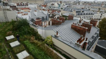 Le texte prévoit de permettre à toutes les communes dites "tendues" (et celles limitrophes se situant dans la même intercommunalité) de mettre en place l'encadrement des loyers. 