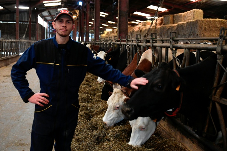 Aymeric Brandazzi, producteur de lait, dans un élevage à Xertigny, dans les Vosges, le 28 septembre 2024.
