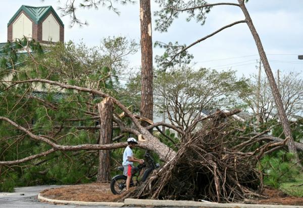 Un arbre arraché par la tempête Isaias à Gulf Breeze, en Floride, le 10 octobre 2026