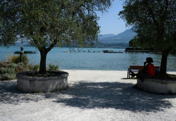 Une femme s'abrite du soleil à l'ombre d'un arbre sur une rive du lac du Bourget, au Bourget-du-Lac, en Savoie le 8 août 2025