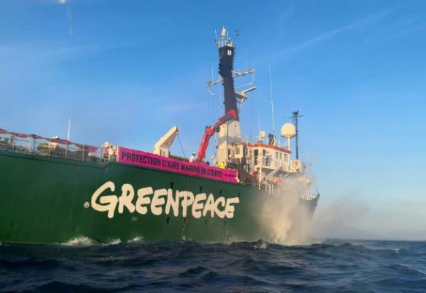 Le bateau de Greenpeace, qui devait rejoindre la trentaine de navires scientifiques d'ONG invités à Nice en marge du sommet de l'ONU sur les océans n'aura finalement pas le droit d'entrer dans le port