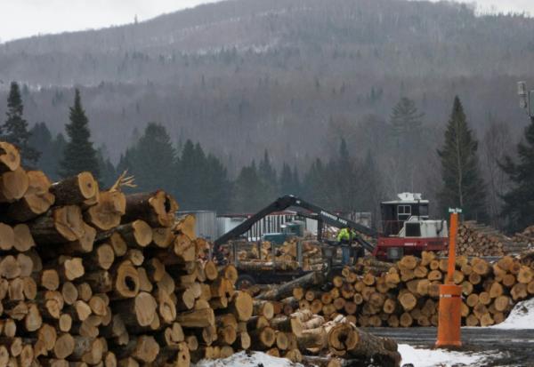 Le bois de construction, les meubles et les aménagements de cuisine sont, depuis mardi à 00h01 (04H01 GMT), les derniers secteurs en date concernés par des droits de douane sectoriels voulus par Donald Trump