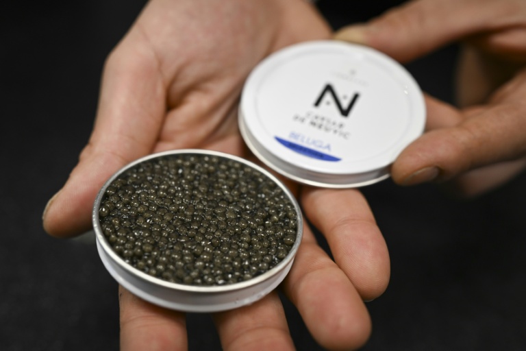 Une boite du caviar de Neuvic, à Paris, le 11 décembre 2025