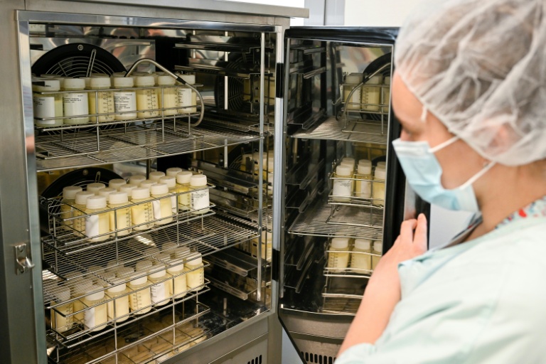 Une technicienne place des bouteilles de lait pasteurisé dans le congélateur de la banque de lait maternel de la maternité du CHU de Nancy, le 10 juin 2026 en Meurthe-et-Moselle