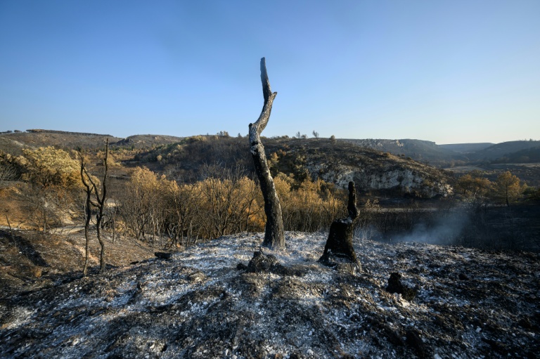 Des terres brûlées après l'incendie près de Fontjoncouse, dans l'Aude, le 8 août 2025