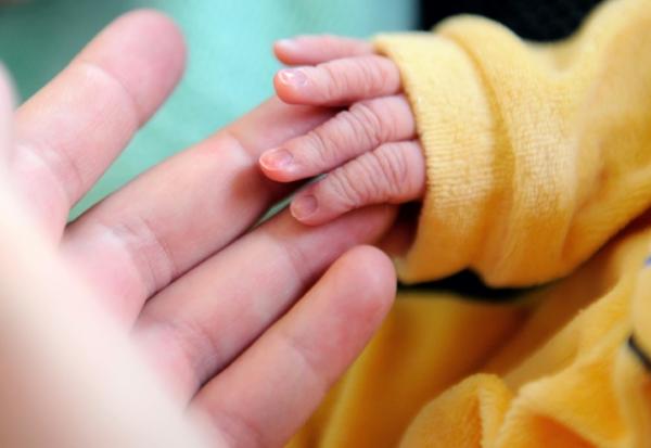 Les pouponnières de l'Aide sociale à l'enfance accueillent des bébés de la naissance à trois ans, placés le plus souvent par la justice car ils sont à risque de danger dans leur famille