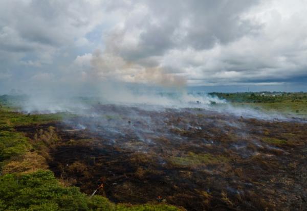 Un incendie dans une forêt de tourbières transformée en plantations de palmiers à huile à Meulaboh, dans la province indonésienne d'Aceh, le 15 février 2025
