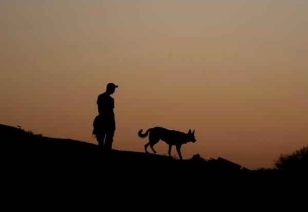 D'où viennent les chiens et depuis quand accompagnent-ils l'être humain ? De nouvelles études établissent leur présence en Europe il y a près de 16.000 ans, soit 5.000 ans plus tôt que ce que les précédentes recherches évaluaient