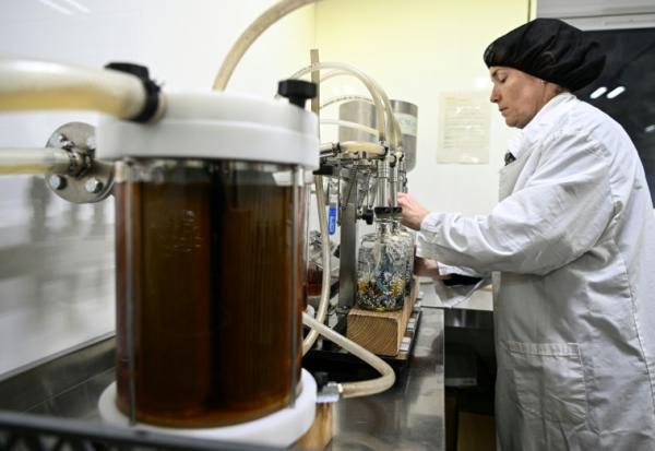 Production de whisky dans une distillerie à Drimnin, dans les Highlands, en Ecosse, le 3 février 2025. 