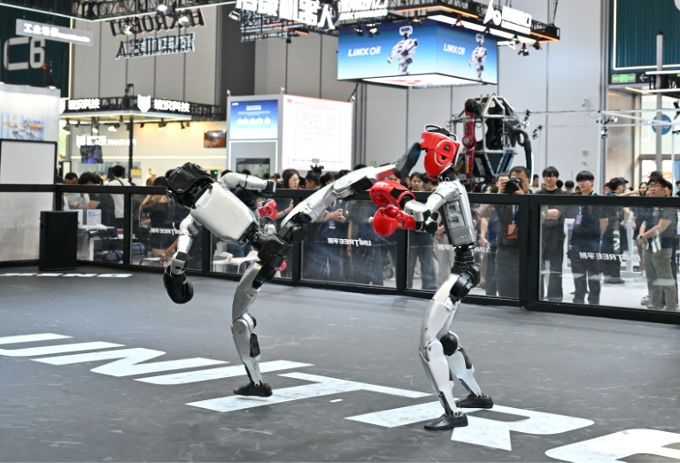 Des robots de l'entreprise Unitree font une démonstration de combat au Salon mondial des robots à Pékin, le 19 août 2026