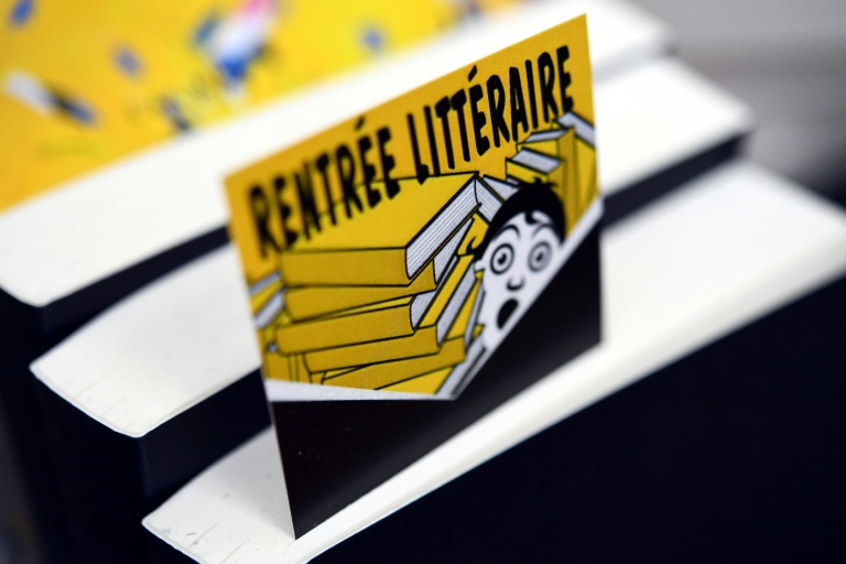 Paris concentre plus de la moitié des librairies d'Île-de-France 