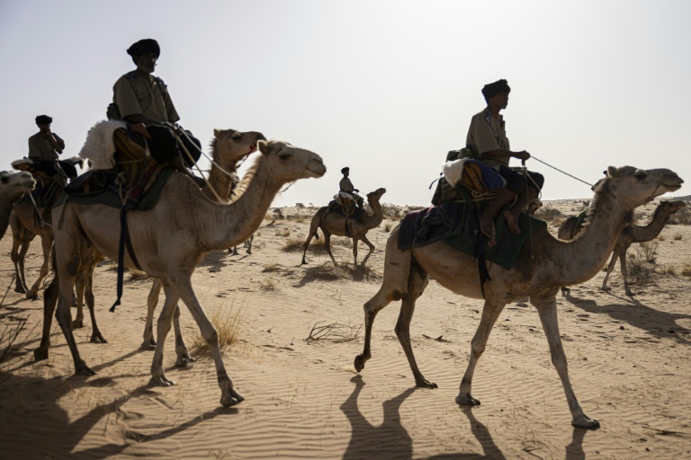 Des membres du Groupement nomade de la Garde nationale mauritanienne patrouillent dans la région de Hodh Ech Chargui (Mauritanie), le 7 avril 2025