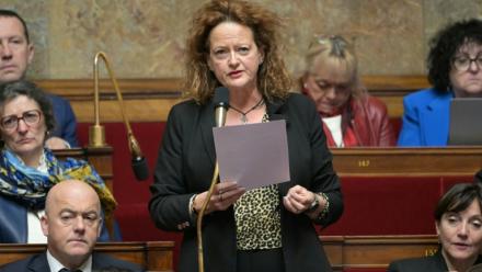 La députée Anne-Cécile Violland à l'Assemblée nationale le 21 janvier 2025