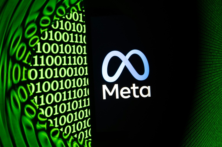 Logo Meta sur un smartphone à Mulhouse, le 11 février 2026