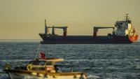 Le cargo Azra C, battant pavillon mongolien, au mouillage dans la mer de Marmara, au large d'Istanbul, le 4 juin 2026 en Turquie