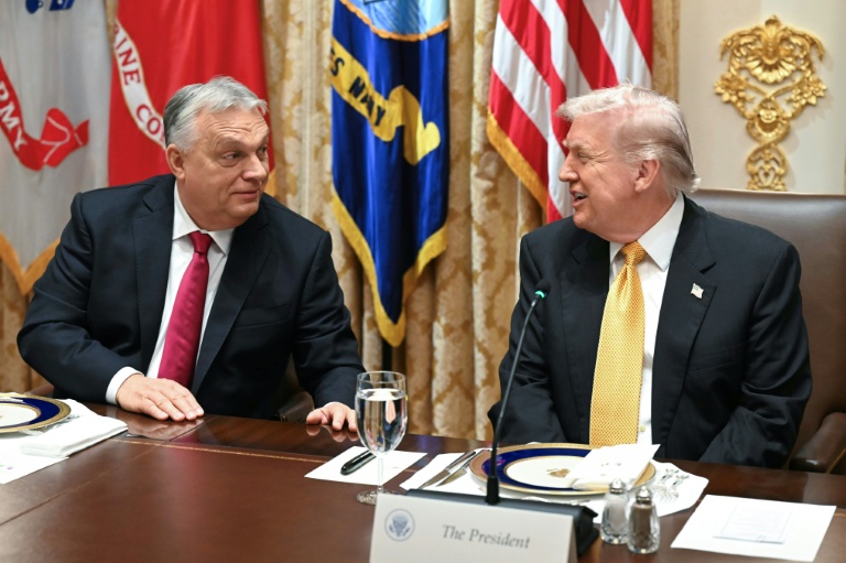 Le président américain Donald Trump et le Premier ministre hongrois Viktor Orban, le 7 novembre 2025 à la Maison Blanche