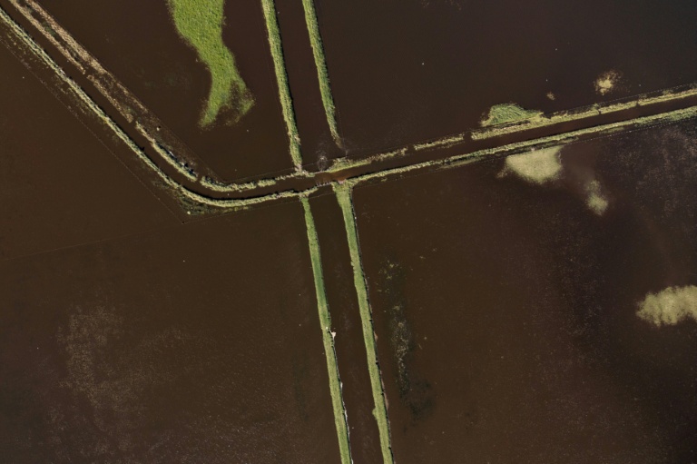 Un champ inondé en raison de fortes pluies à 9 de Julio, dans la province de Buenos Aires, en Argentine, le 5 novembre 2025.