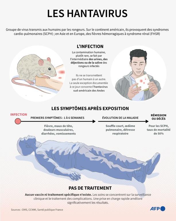 Hantavirus