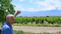Le producteur d'abricots Aramais Kazaryan, lors d'un entretien avec l'AFP dans son verger du village de Vosketap, dans la vallée de l'Ararat, le 9 juin 2026 en Arménie
