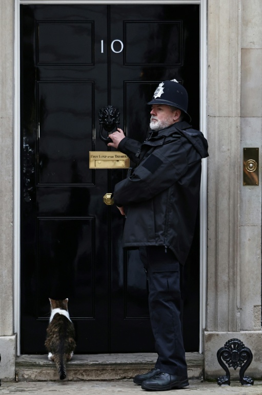 Le chat Larry attend de pouvoir rentrer au 10, Downing Street, la résidence officielle du chef de gouvernement britannique, le 9 février 2026 à Londres