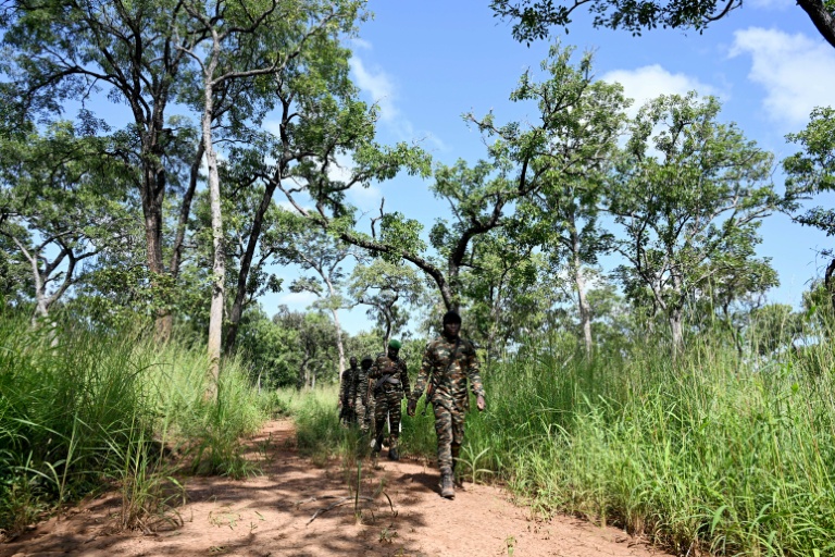 Des gardes forestiers patrouillent dans le parc national de la Comoé, le 10 octobre 2025 dans le nord-est de la Côte d'Ivoire